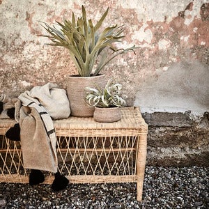 Tribe Salongbord 160x60 cm