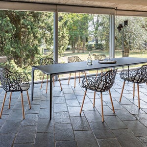 Forest Spisebordsstol Iroko/Black 