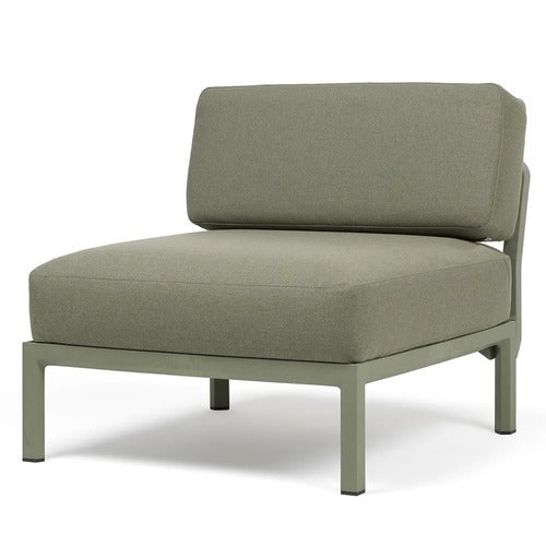 Maximo midtre del Cactus-Timo