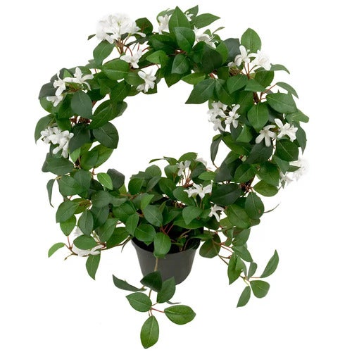 Jasmin Potteplante 45 cm Hvit