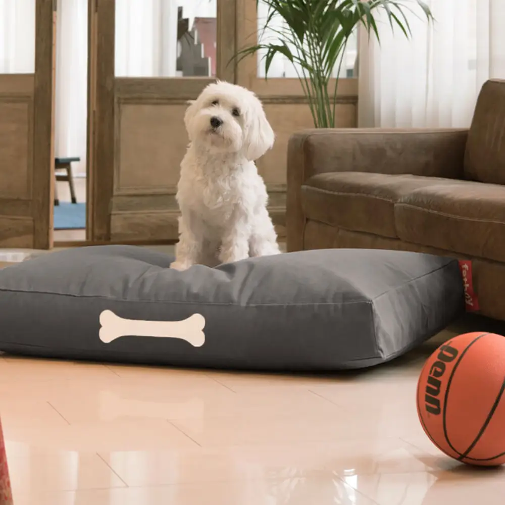 doggielounge L canvas Hundeseng recycled charcoal grey