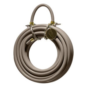 Vannslange Sahara Desert