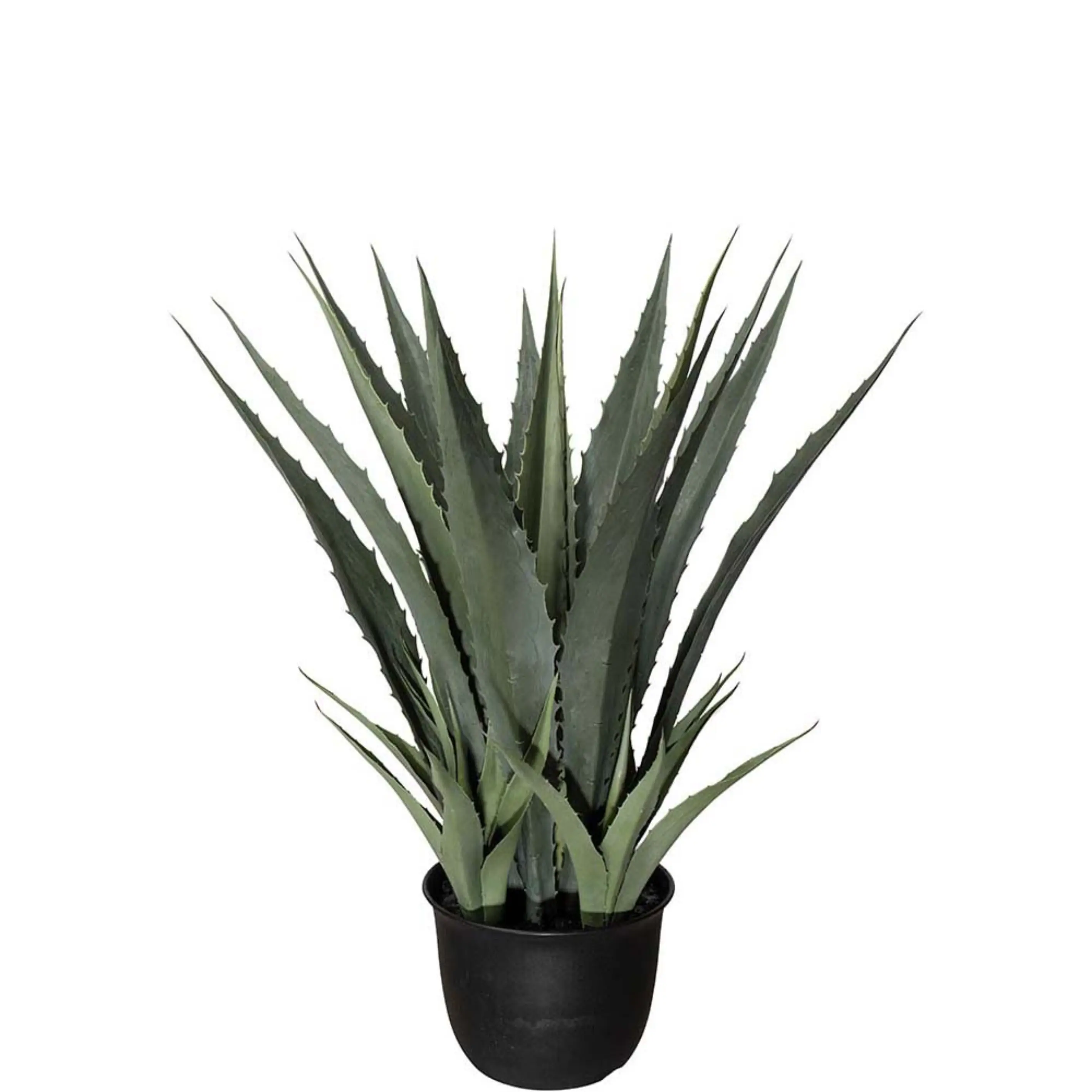  Agave grønn 100 cm