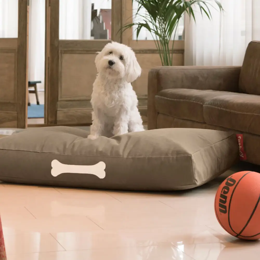 doggielounge L canvas Hundeseng recycled taupe grey