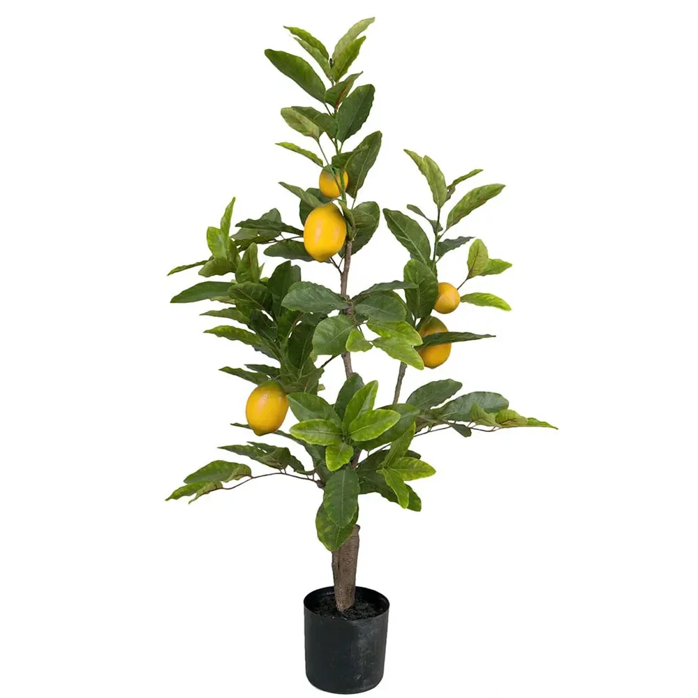 Mr Plant, Sitrontre 90 cm