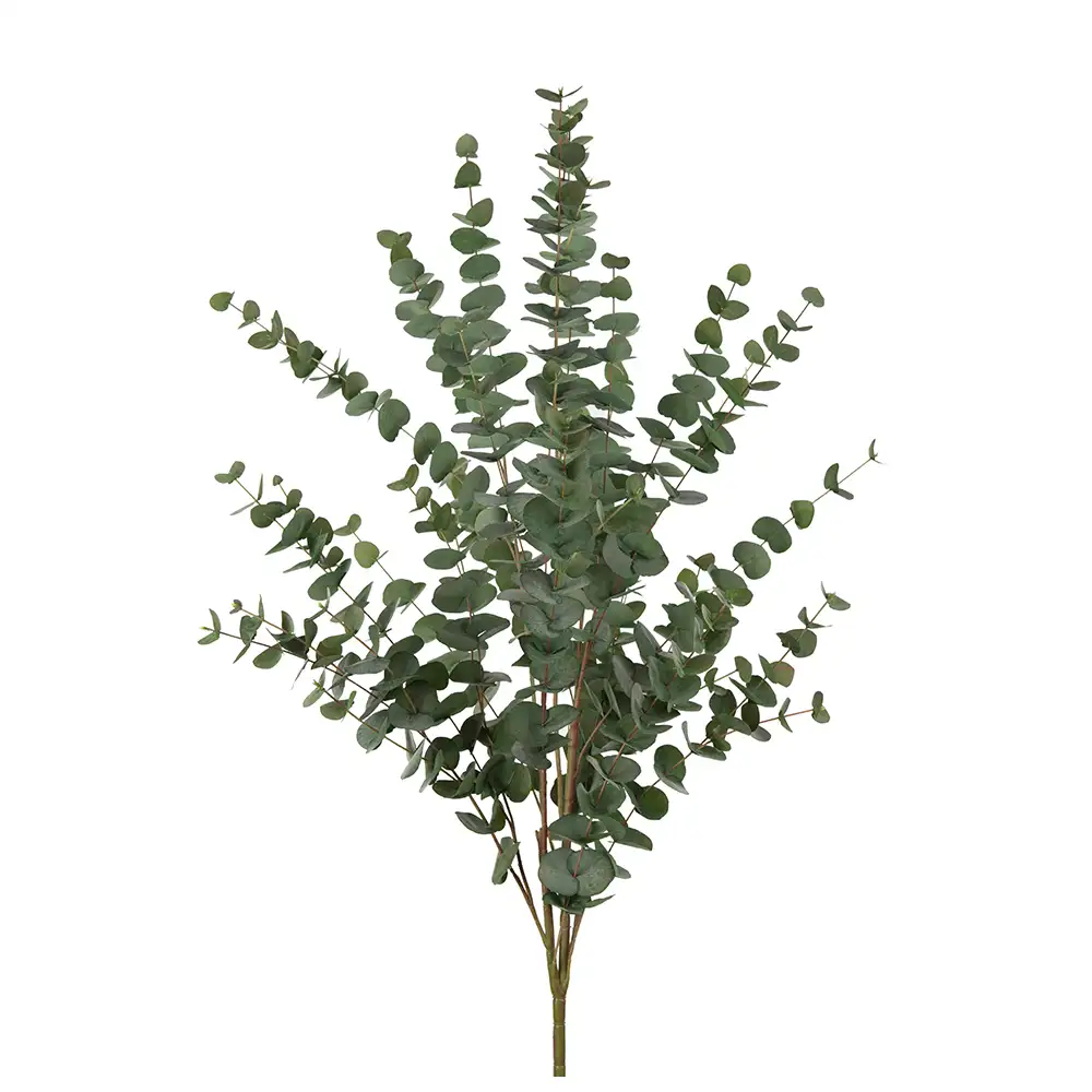 Eukalyptus Kvist 120 cm