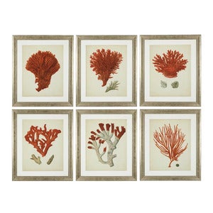 Print Antique Red Corals set of 6
