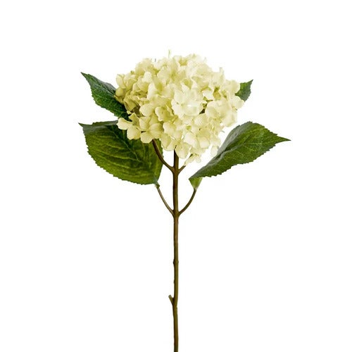 Hortensia 40 cm hvit