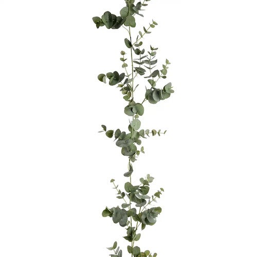 Eukalyptus girlander