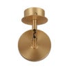 Asteria Spot Plated Brass