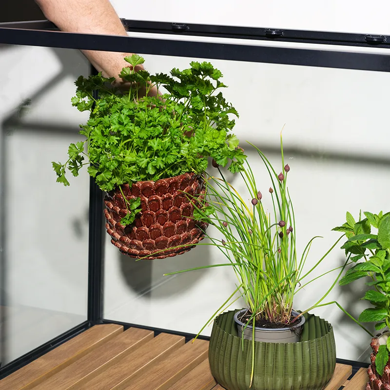 Grower Greens planteskap S svart 