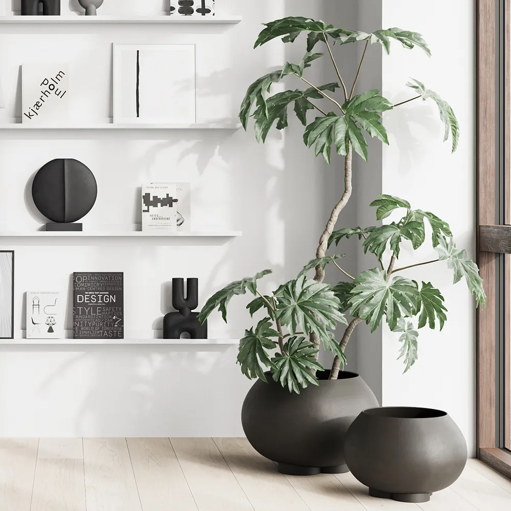 Urchin krukke Medio - Coffee