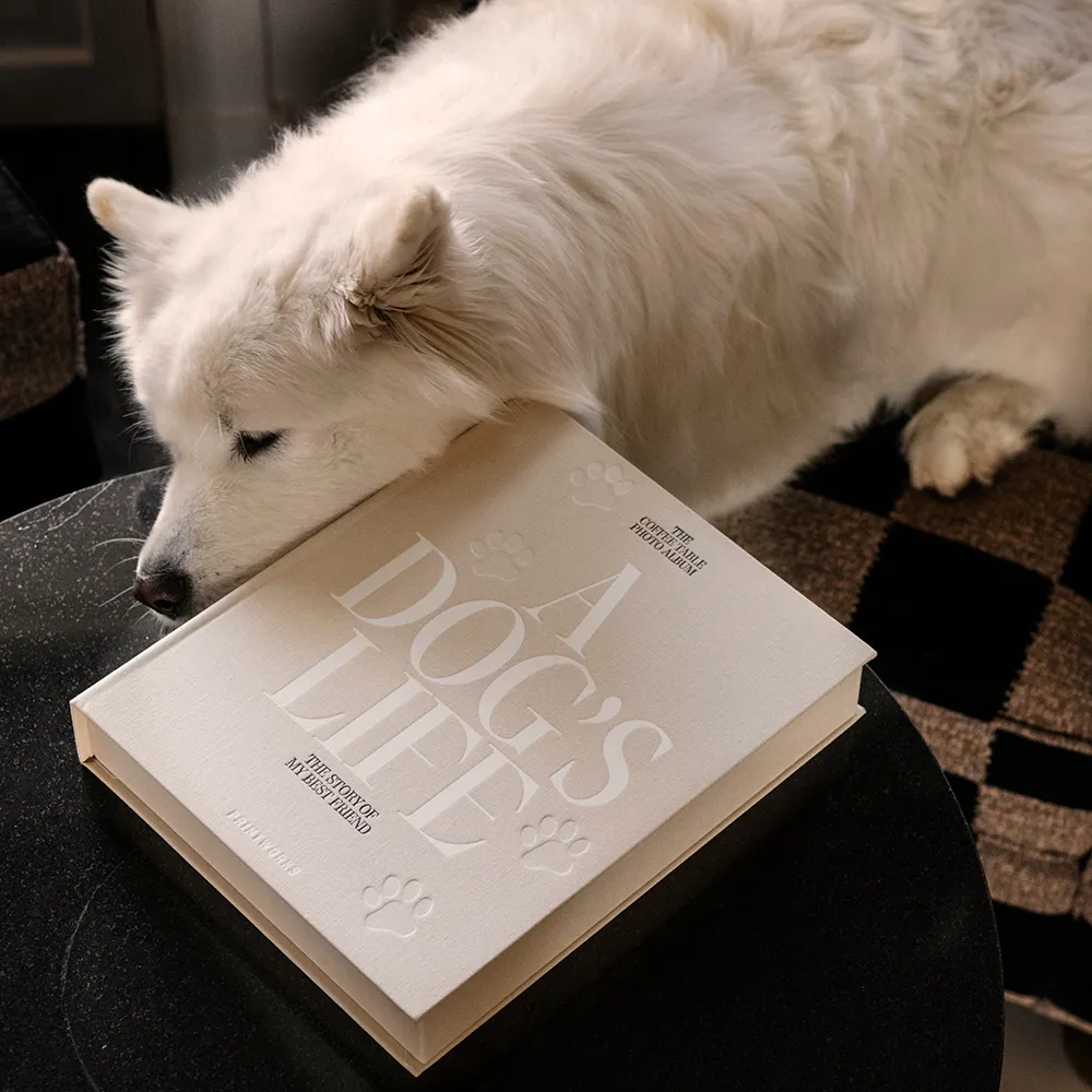  Hundefotoalbum - A Dog's Life