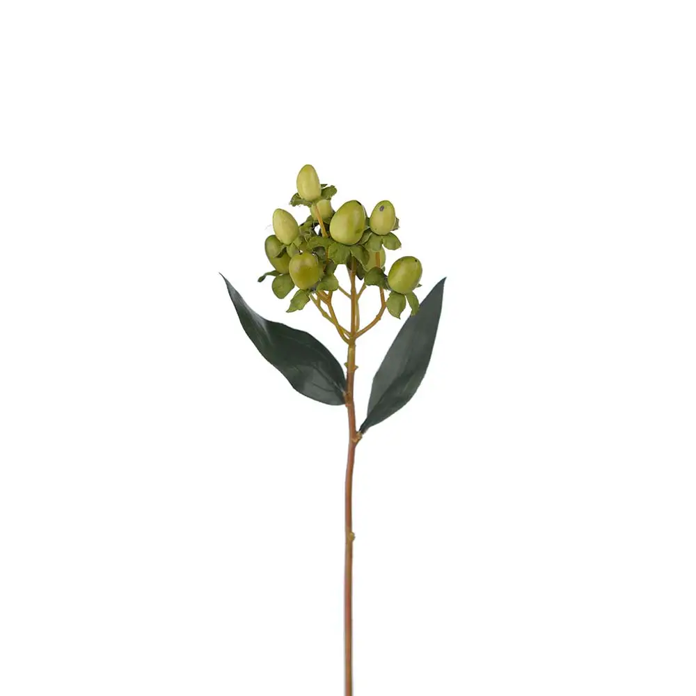 Hypericum bærkvist 28 cm grønn