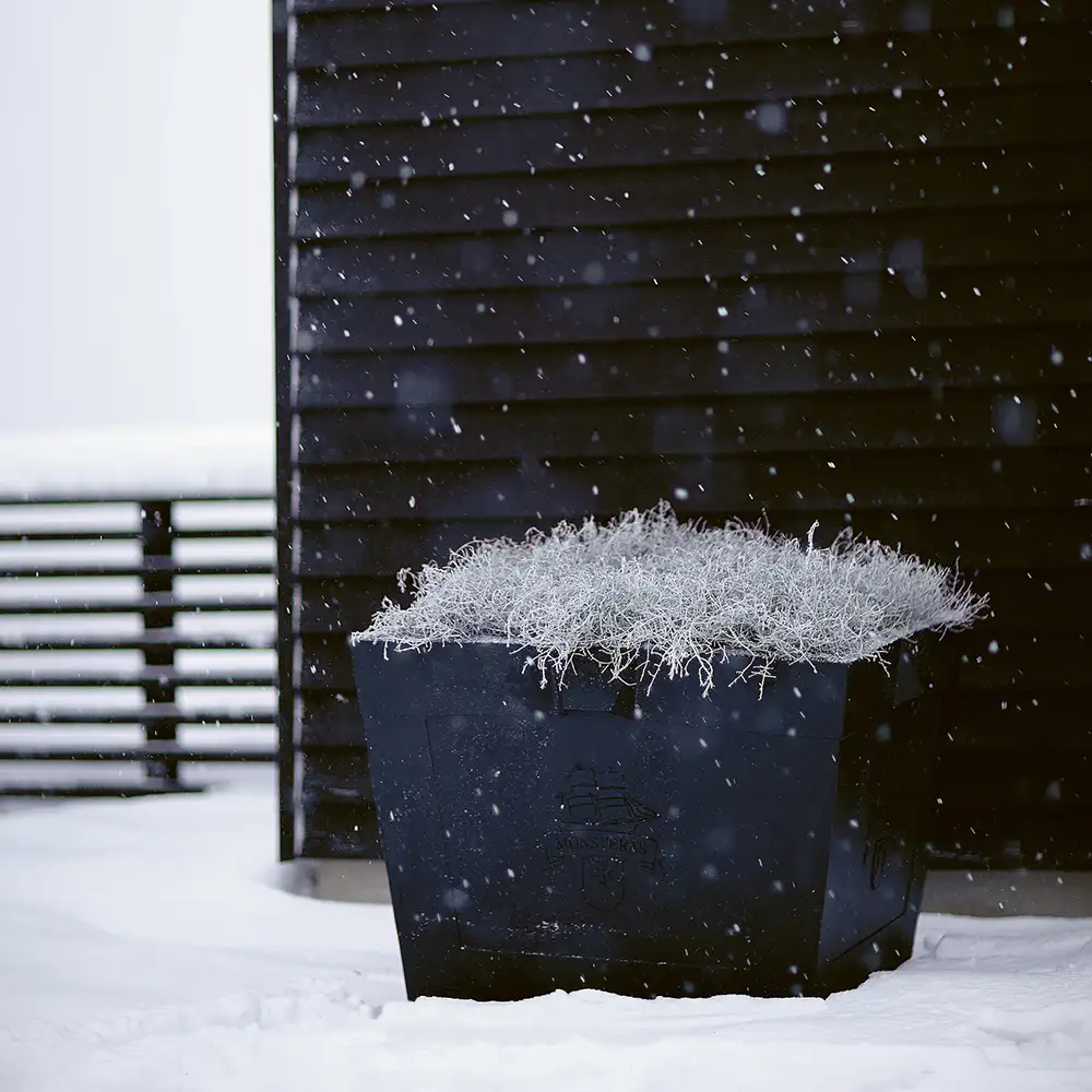 Plantepotte Karl XL svart