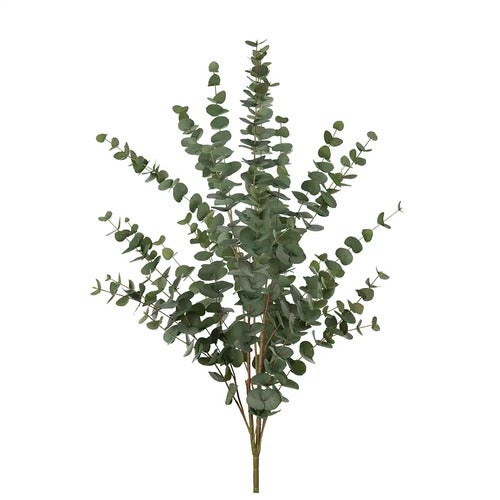 Eukalyptus Kvist 120 cm