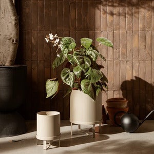 Bau Pot - Small - Cashmere