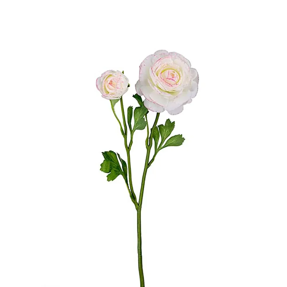 Ranunkel snittblomst 45 cm flerfarget