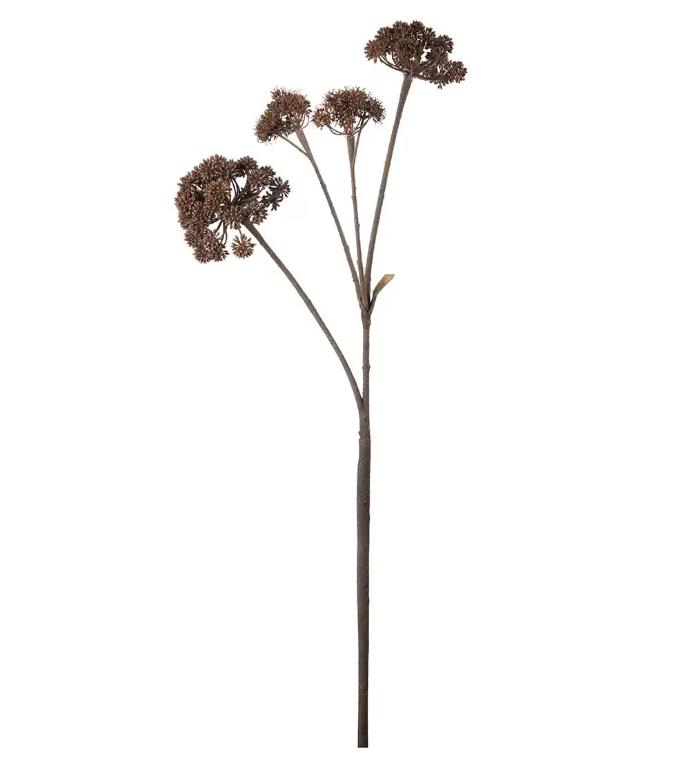 Mr Plant, Angelica Brown Avskårne plante 125 cm