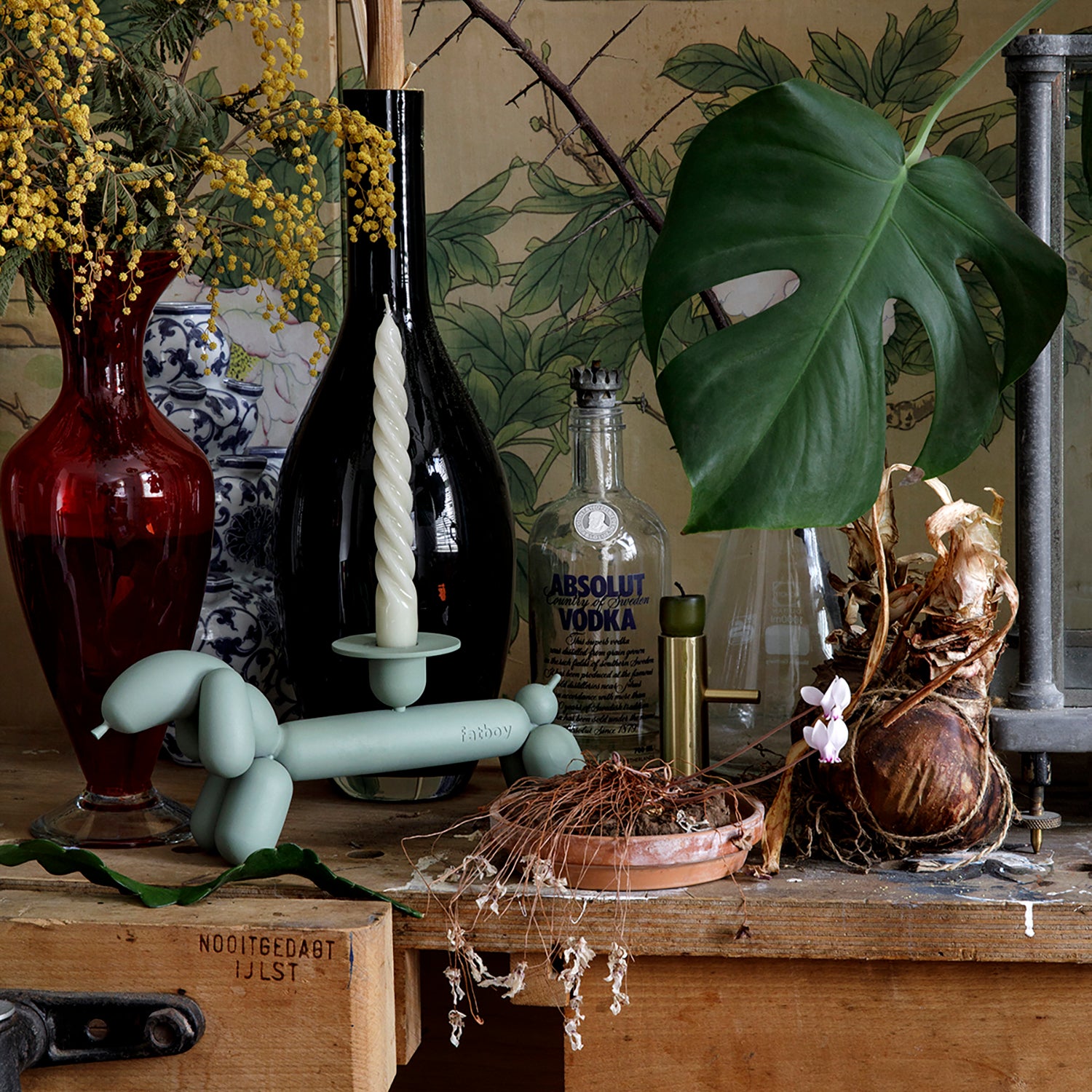 Can-dog lysestake white