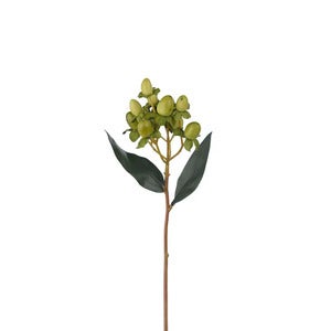Hypericum bærkvist 28 cm grønn