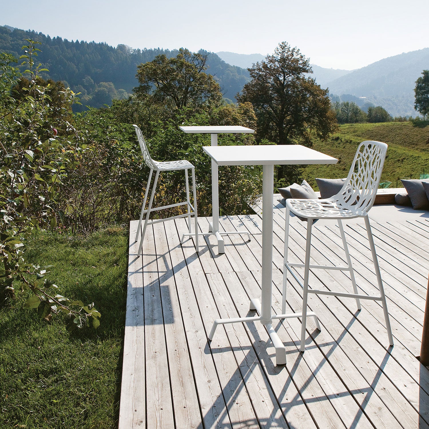 Forest barkrakk 78 cm med høy rygg White