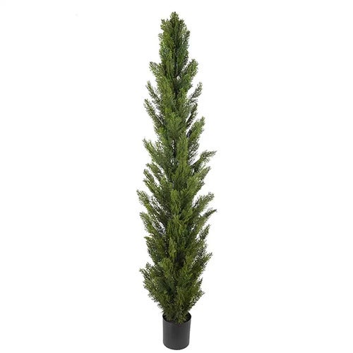 Cypress Tre 90 cm