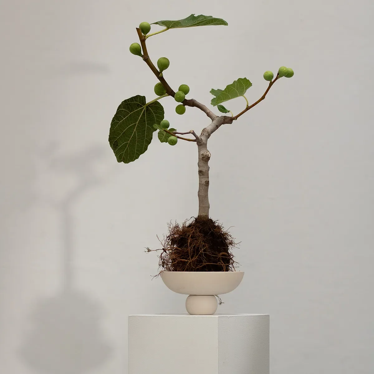 Håndmalt dekorasjonsskål Baburu Mini Birch Ø 20 cm