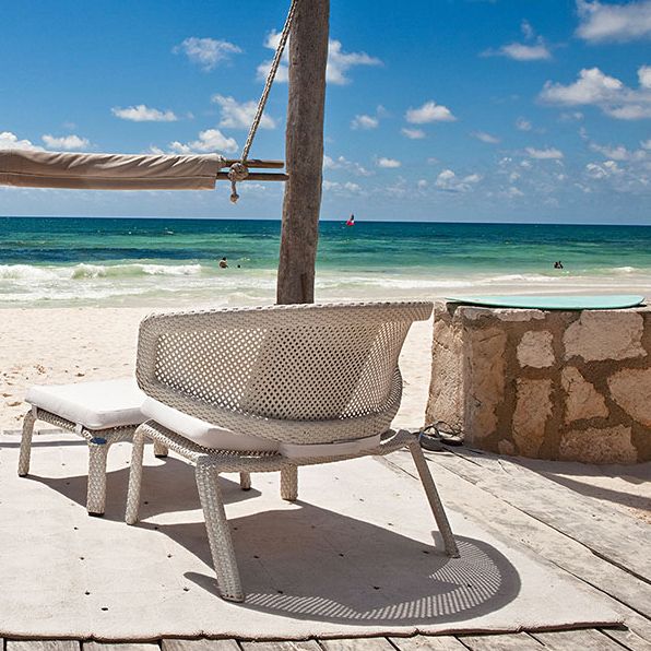 Seashell barkrakk hvit 