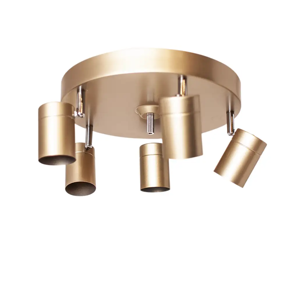 Correct takspot 5-spots Gull