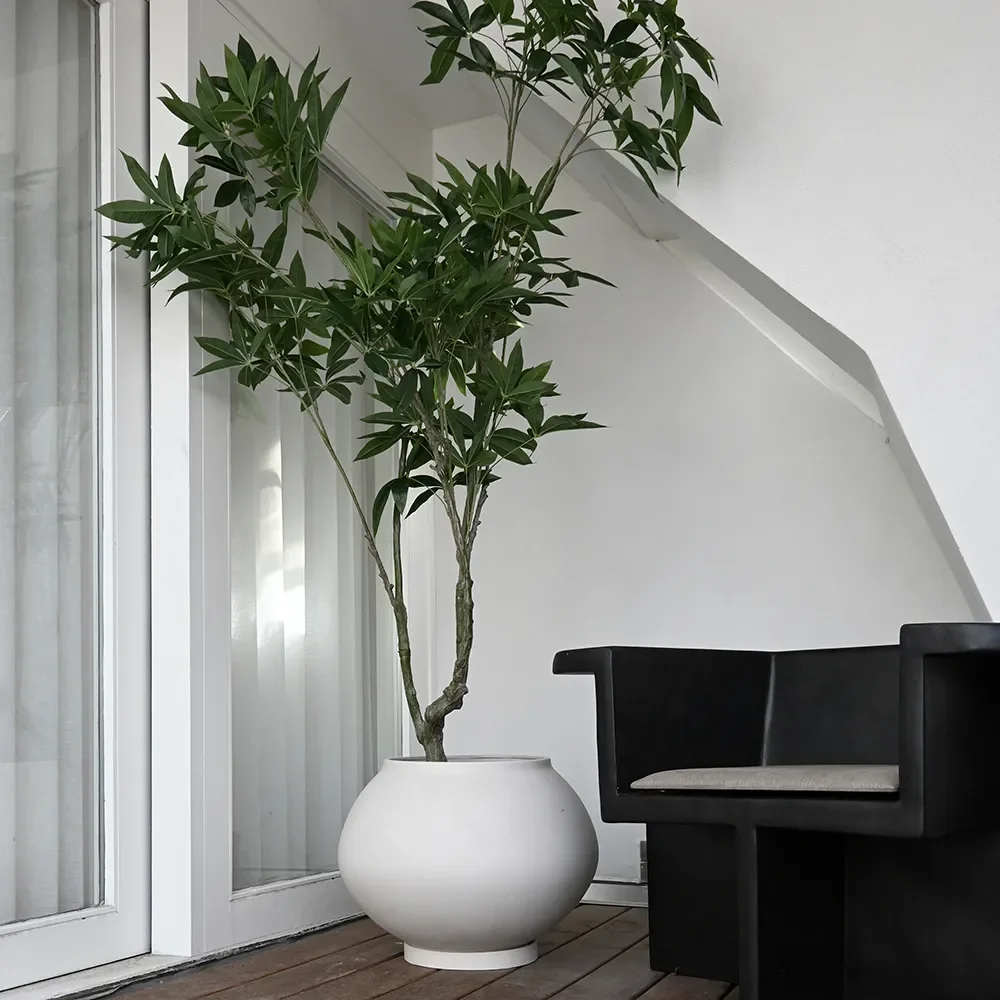 Sunao krukke Fat Hexa - Birch