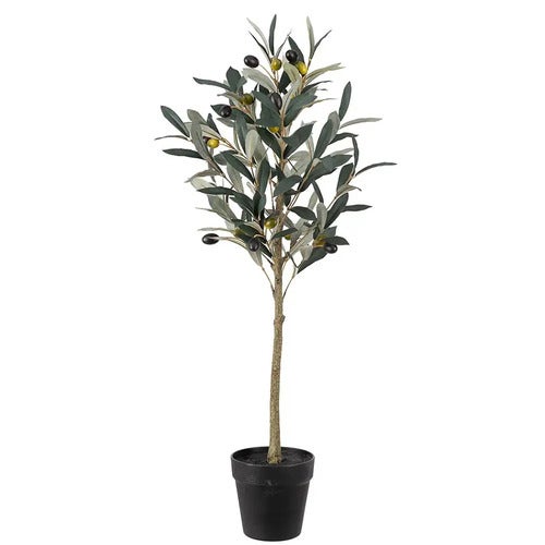 Oliven Potteplante 75 cm