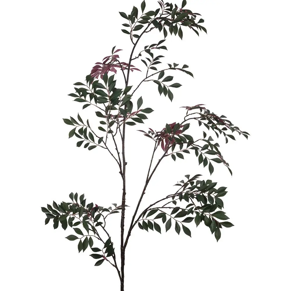  Japansk rognekvist 230 cm