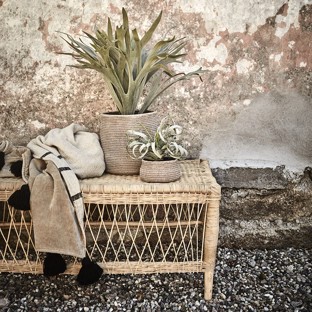 Tribe Salongbord 160x60 cm