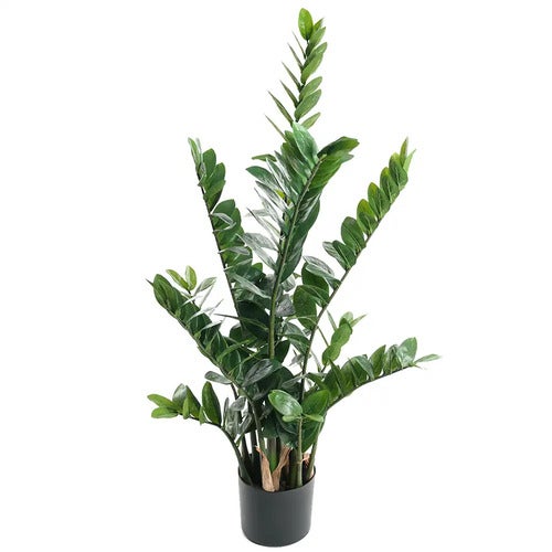 Zamifolia Potteplante 110 cm