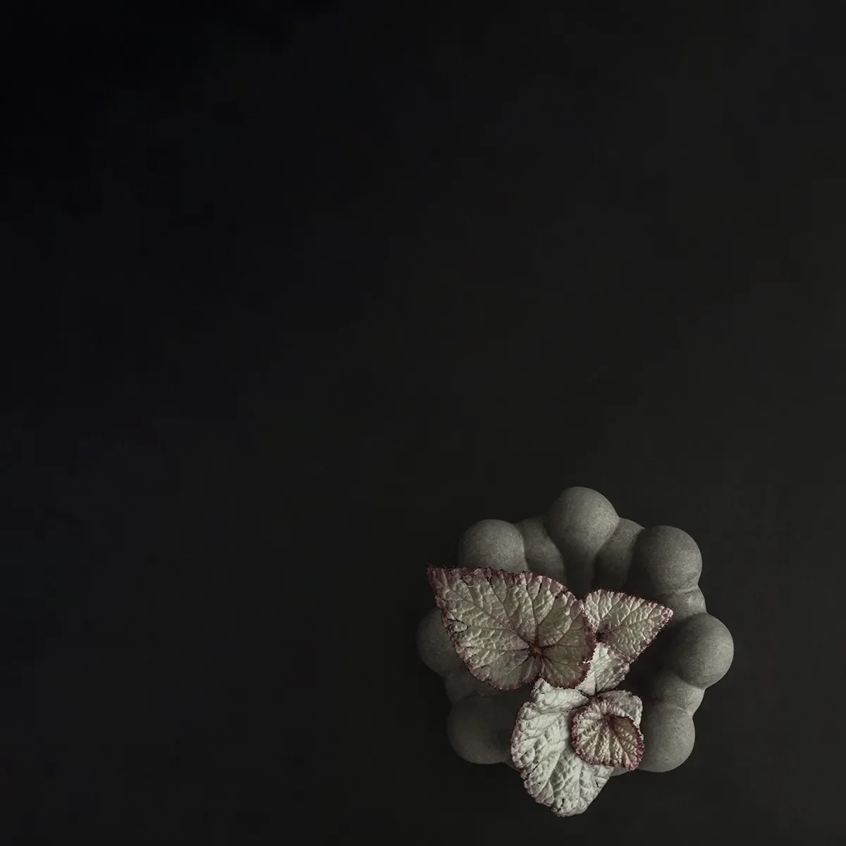 Håndlaget Dekorasjonsskål Bloom Dark Grey Ø 15,5 cm