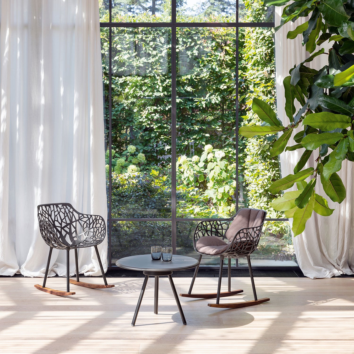 Forest Gyngestol Iroko/Black