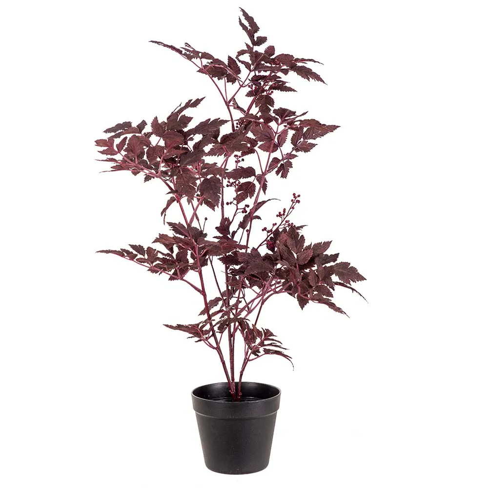  Silverax Potteplante 75 cm