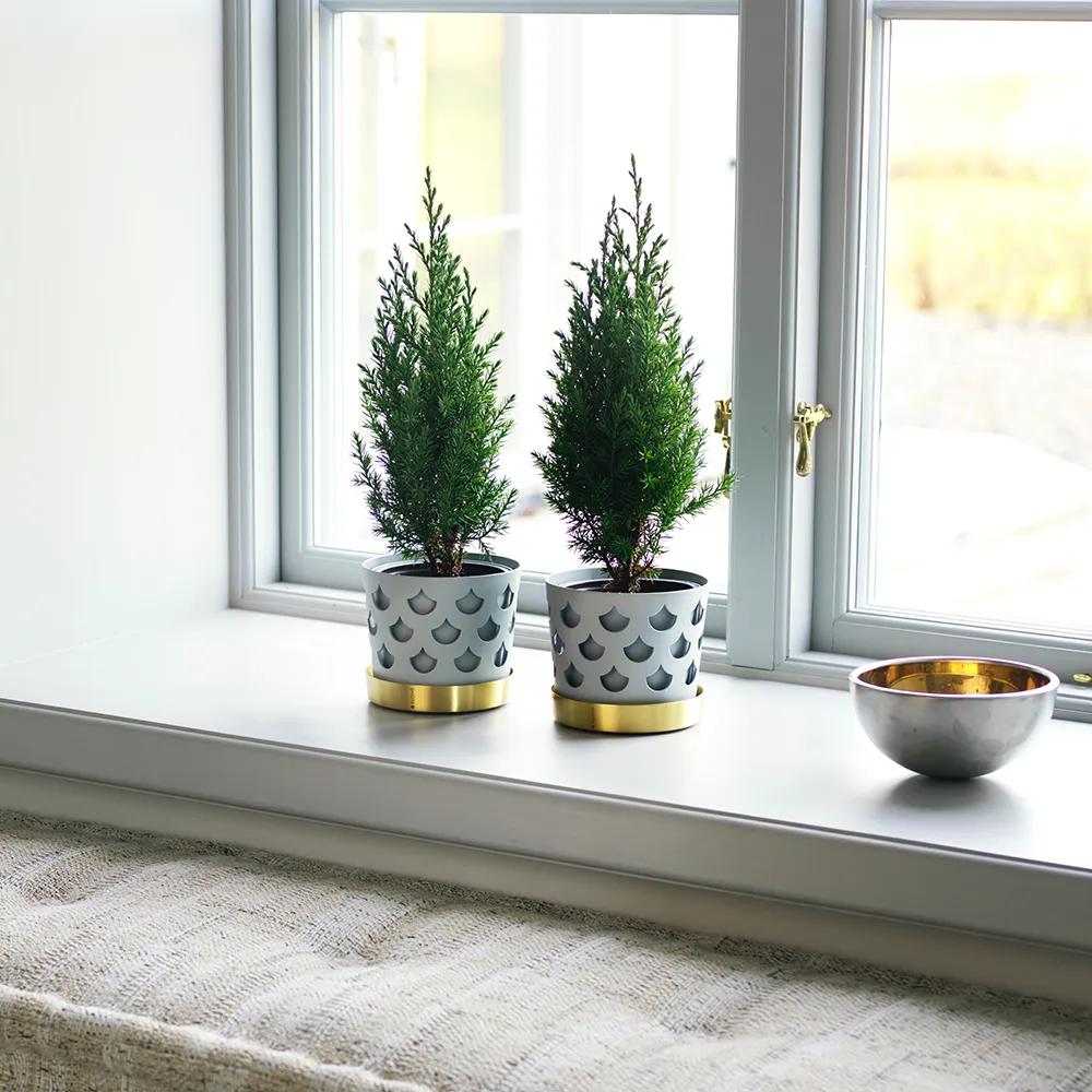 Trio Drop Small fat i grå messing