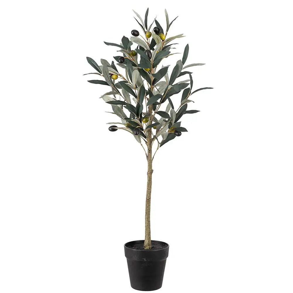 Oliven Potteplante 75 cm