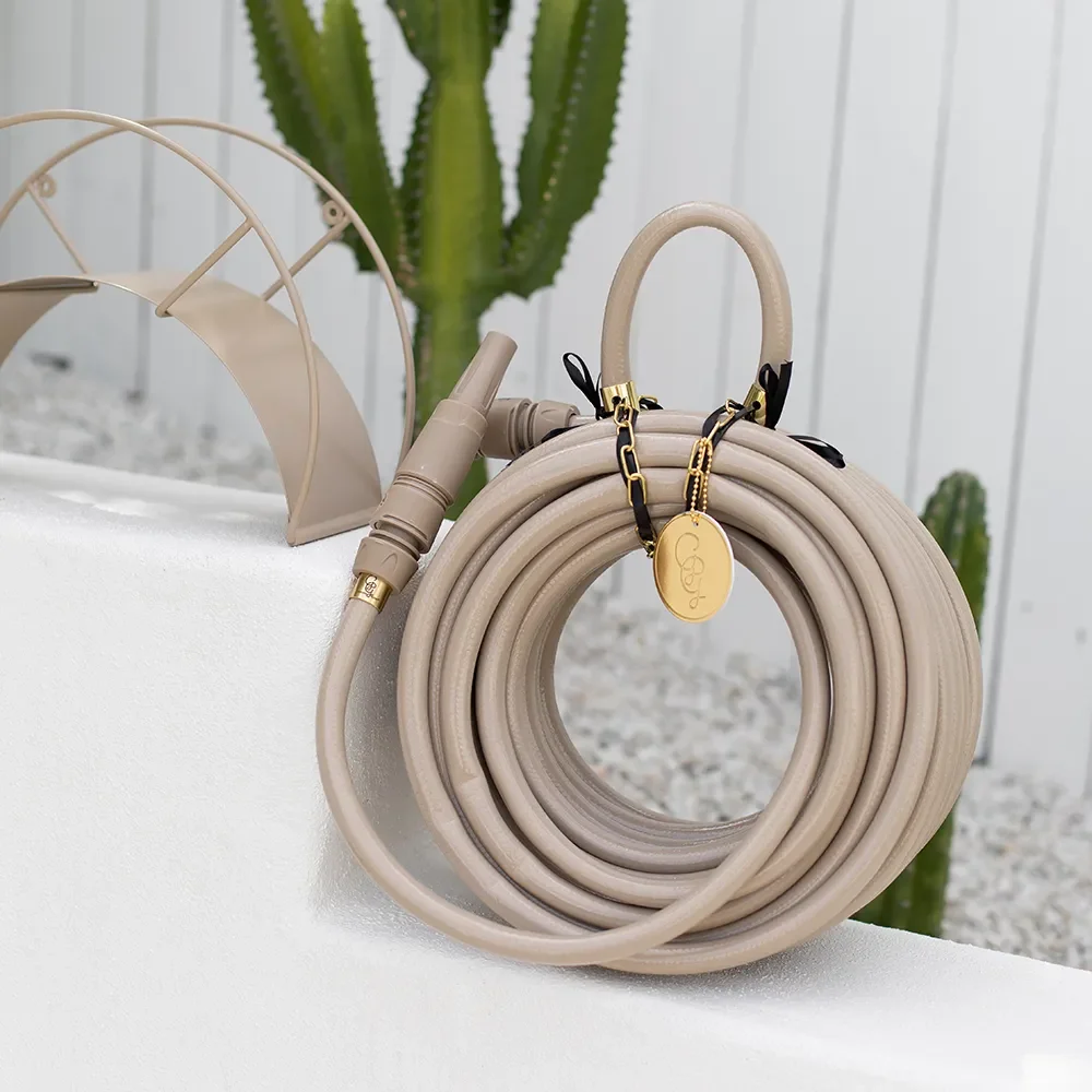 Vannslange Sahara Desert