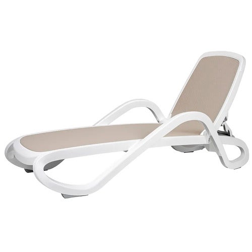 Alfa solseng White Tortora