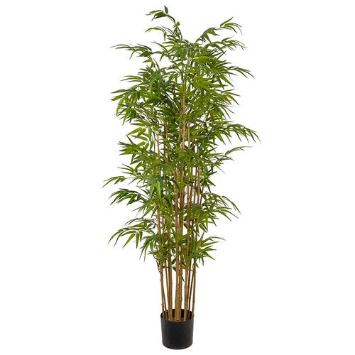 Bambus 180 cm