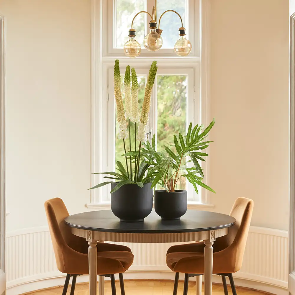 Stepplilje Potteplante 95 cm Hvit