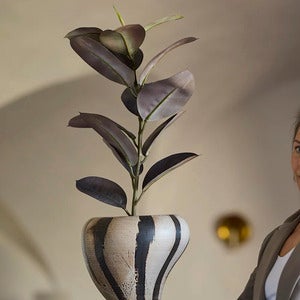 Ficus Elastica Potteplante 80 cm