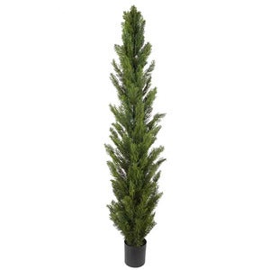 Cypress Tre 150 cm