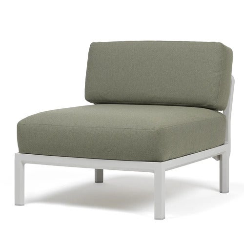 Maximo midtre del Gesso-Timo