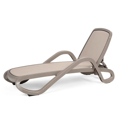 Alfa solseng Tortora Tortora