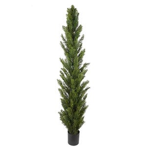 Cypress Tre 90 cm