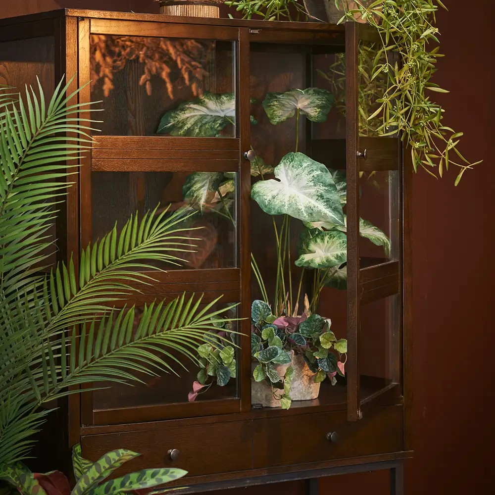 Caladium Potteplante 80 cm